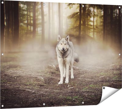 Gards Tuinposter Grijze Wolf in het Bos - 120x90 cm - Tuindoek - Tuindecoratie - Wanddecoratie buiten - Tuinschilderij