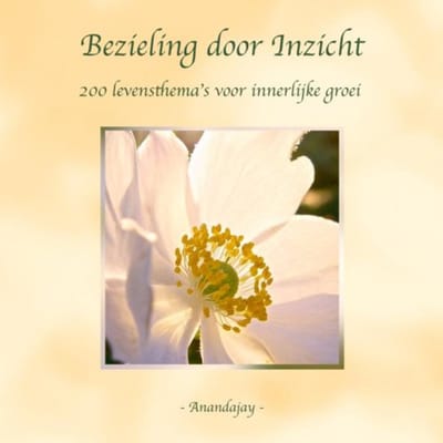 Bezieling Door Inzicht - Anandajay _
