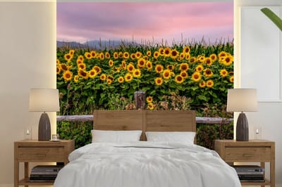 Behang - Fotobehang Zonnebloem - Bloemen - Planten - Breedte 280 cm x hoogte 280 cm