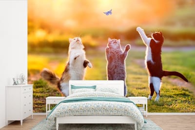 Behang - Fotobehang Katten - Vlinder - Zonsondergang - Gras - Natuur - Breedte 450 cm x hoogte 300 cm