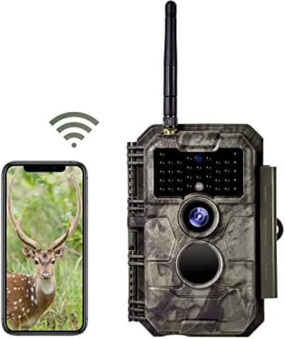 Wildcamera - Wildcamera Met Nachtzicht - Wildcamera Voor Buiten - Wild Camera - Nachtcamera - Nachtcamera Wild Camera