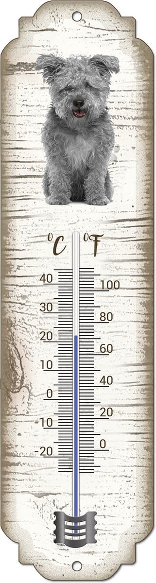 Thermometer: Pumi | Hondenras | Temperatuur binnen en buiten | -25 tot +45C