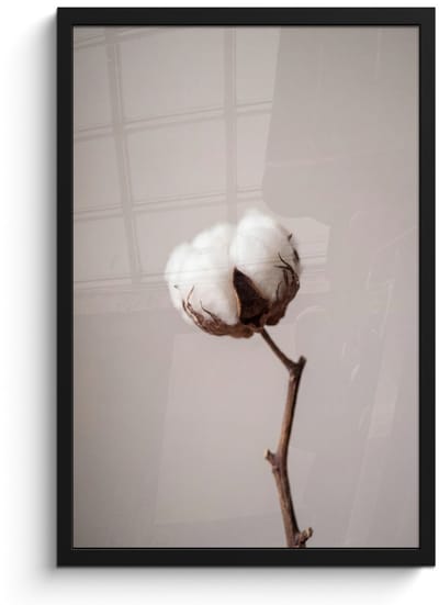 Poster in lijst - Fotolijst 40x60 cm - Posters - Katoenbol - Minimalistisch - Wit - Posterlijst zwart - Decoratie - Wanddecoratie woonkamer - Muurdecoratie slaapkamer