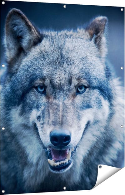Gards Tuinposter Wolvenkop met Blauwe Ogen - Wolf - 90x120 cm - Tuindoek - Tuindecoratie - Wanddecoratie buiten - Tuinschilderij