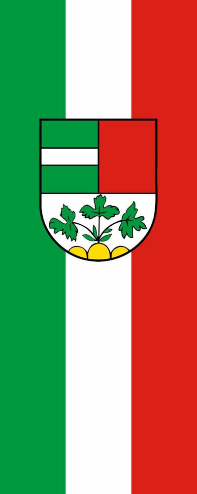 Vlag Laupheim 100x150cm