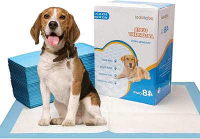 Grote absorberende puppy pads 60x90cm - super absorberende hond training pads - 48 stuks - XXL formaat
