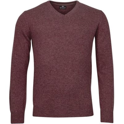 Baileys Trui V-Neck Lambswool Uni Color Single Knit Cerise / male