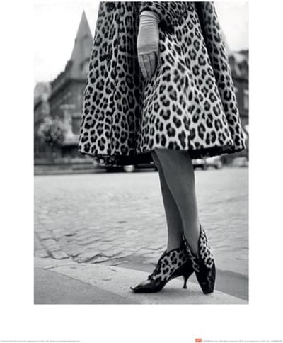 Kunstdruk Time Life - Dior Leopard Print 30x40cm