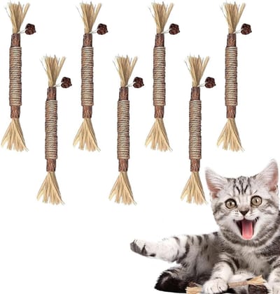 Dailygoods- Kattengrassticks 6 stuks - Tandverzorgingsstokjes - Natuurlijke ingrediënten - Spijsvertering bevorderend - Tegen slechte adem - Gelukkige kittens - Kauwspeelgoed