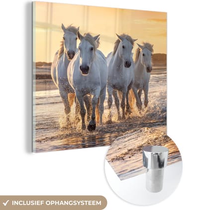 MuchoWow® Glasschilderij 90x90 cm - Schilderij acrylglas - Paarden - Water - Strand - Dieren - Foto op glas - Schilderijen