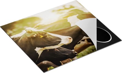 Chefcare Inductie Beschermer Zwart Wit Koeien in de Wei met Zon - 60x50 cm - Afdekplaat Inductie - Kookplaat Beschermer - Inductie Mat
