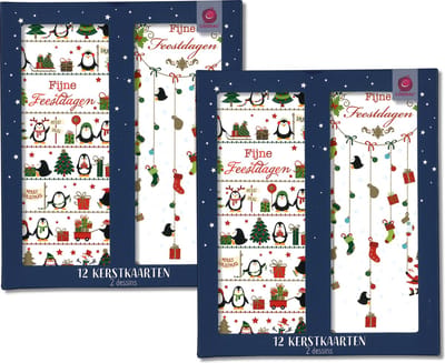 Cardeau - 24 dubbele Kerstkaarten en Nieuwjaarskaarten - 2 doosjes - 2 motieven - Foliedruk - 8 x 20 cm