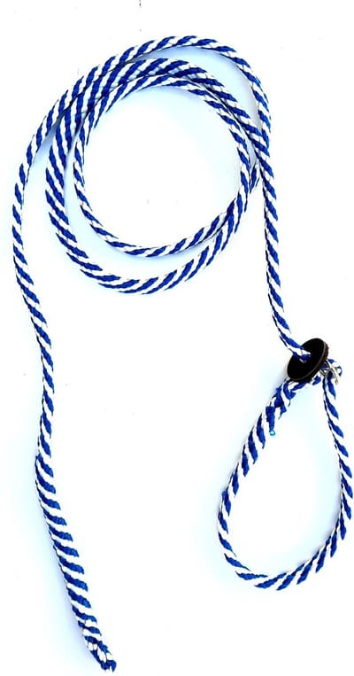 Abany quality design –(ZONDERHANDVAT) luxe hondenlijn voor alle honden rassen - puppylijn met - dubbele stop - vanglijn – retrieverlijn - jachtlijn - sliplijn – lange hondenlijn - wandelhoofdstel - mantrailing - 3 meter - 1R1907 - rood