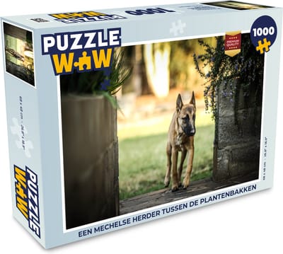Puzzel Een Mechelse herder tussen de plantenbakken - Legpuzzel - Puzzel 1000 stukjes volwassenen