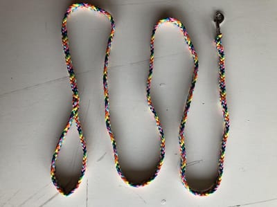 Bianca's Standaard Lijn - Hondenriem - 200 cm - Medium - Regenboog