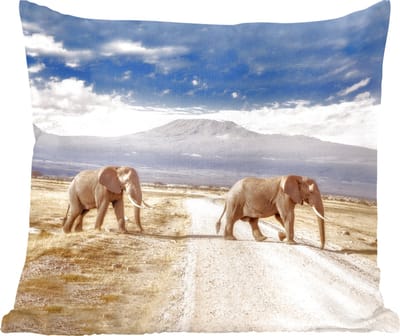 Sierkussens - Kussentjes Woonkamer - 60x60 cm - Olifant - Wolk - Safari