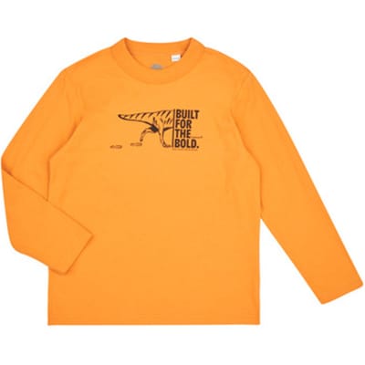 Timberland  T-Shirt Lange Mouw TEE-SHIRT MANCHES LONGUES T60301