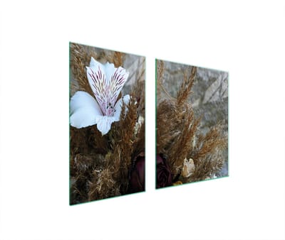 TMK ArtDeko Serie - Glazen Snijplank - 100x52cm - Orchidee - Veilige Bescherming