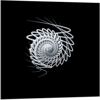 Dibond - Witte Schelp constructie  - 80x80cm Foto op Aluminium (Wanddecoratie van metaal)