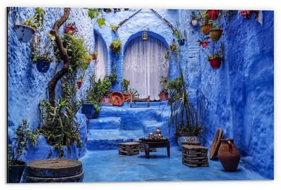 Dibond - Blauw Plantenhoekje - 60x40cm Foto op Aluminium (Wanddecoratie van metaal)