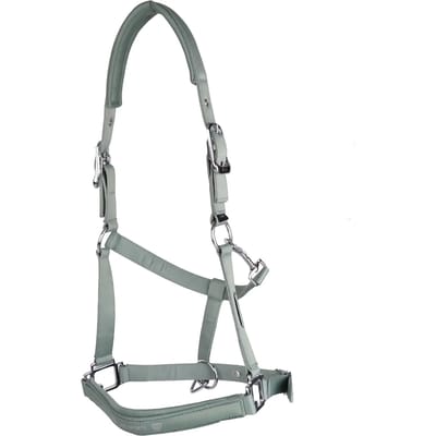 Halster voor paarden USG Shiny