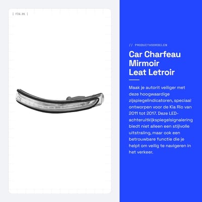 Dailygoods - Car Charfeau Mirmoir Leat Letroir - Vervangingslampen - Zwart - Zijspiegelindicatoren - Geschikt voor Kia Rio 2011-2017