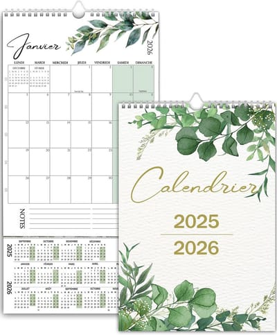 Dailygoods- Koelkastkalender Magnetisch - Maandkalender 2025/2026 - Planner - Organizer - Familieplanner - Perfect voor Thuis/Kantoor