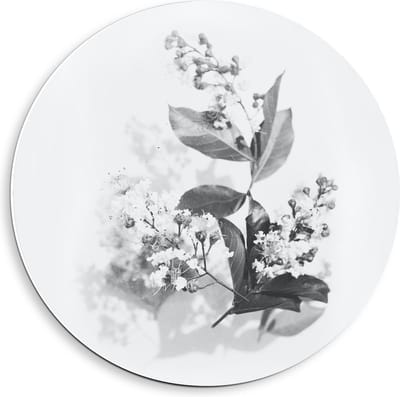 Forex Wandcirkel - Zwart Wit Foto van bloemen  - 40x40cm Foto op Wandcirkel (met ophangsysteem)