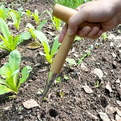 Handzeeg Dibbler met houten handvat voor het zaaien van zaden Verplanten van planten Planten Bollen Graven Tuinieren Tuin Perforator Gereedschap