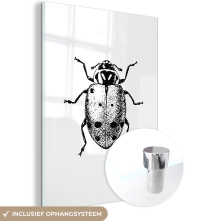 MuchoWow® Glasschilderij 30x40 cm - Schilderij acrylglas - Vintage - Lieveheersbeestje - Insecten - Zwart wit - Foto op glas - Schilderijen