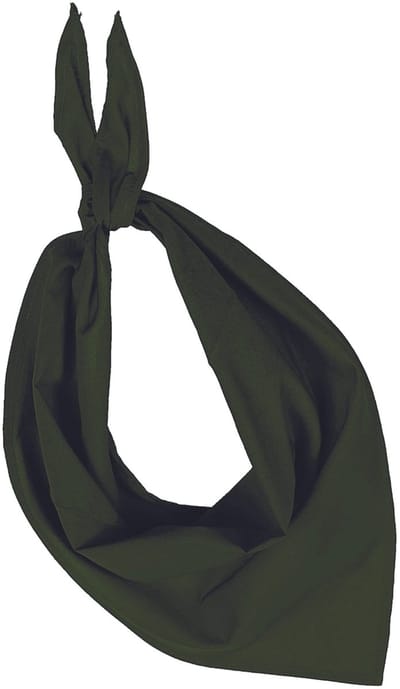 Kariban Hoofdband - Groen