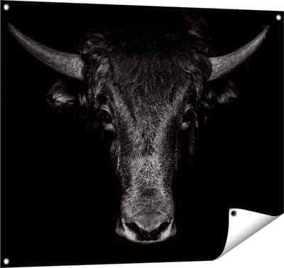 Gards Tuinposter Stierenkop - Stier - Zwart Wit - 100x80 cm - Tuindoek - Tuindecoratie - Wanddecoratie buiten - Tuinschilderij