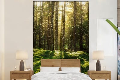 Behang - Fotobehang Bomen - Bos - Mos - Planten - Zon - Natuur - Breedte 200 cm x hoogte 300 cm