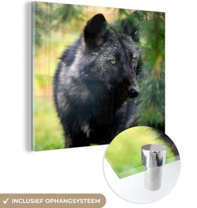 MuchoWow® Glasschilderij 50x50 cm - Schilderij acrylglas - Wolf - Macro - Bladeren - Foto op glas - Schilderijen