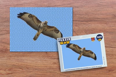 Puzzel Europese buizerd spreidt zich maximaal uit tijdens de vlucht - Legpuzzel - Puzzel 500 stukjes
