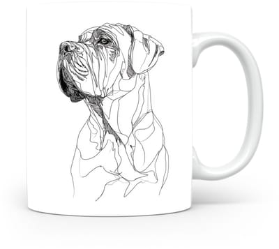 Beker Fila Brasileiro