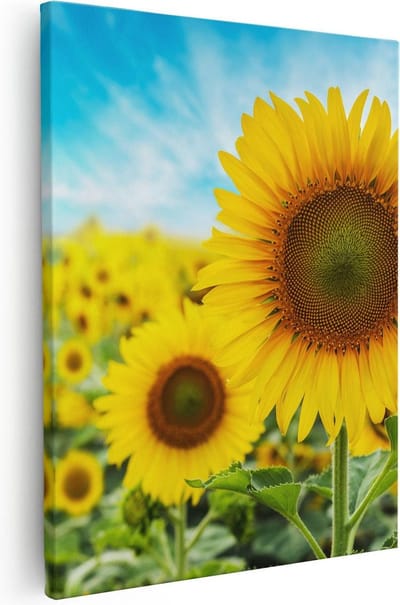 Artaza Canvas Schilderij Zonnebloemenveld - 40x50 cm - Muurdecoratie Bloemen - Wanddecoratie Woonkamer - Schilderijen Op Canvas