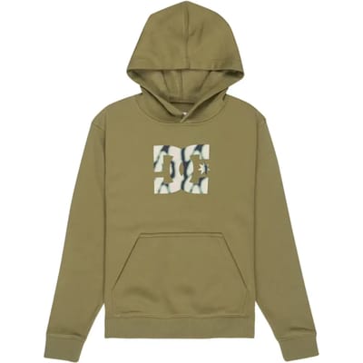 Junior Hoodie DC Shoes Star Filled