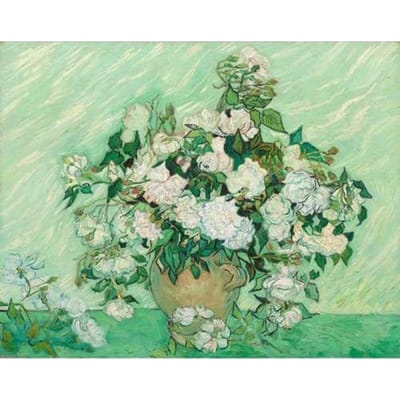 Diamant schilderij voor volwassenen diamant borduurwerk ambachtelijke schilderij witte bloemen Diamond Wall Arts Decor 20X30CM