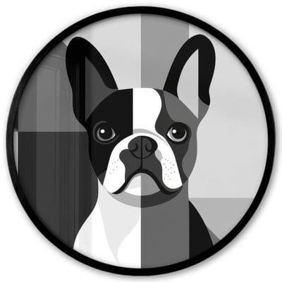 Poster in lijst Rond - Fotolijst 40x40 cm - Posters - Buldog - Zwart - Abstract - Vlakken - Ronde posterlijst zwart - Decoratie - Wanddecoratie woonkamer - Muurdecoratie slaapkamer