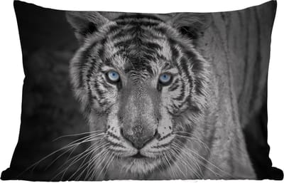 Buitenkussens - Tuin - Tijger - Dier - Zwart - Blauw - Modern - 50x30 cm