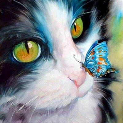 Bricolage diamant mosaïque Animal chat et papillon couture diamant peinture point de croix Art mural 30X30CM white