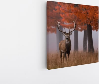 Saammp Canvas Schilderij - Hert - Portret - Herfst - Natuur - Dieren - 20x20 - Foto op canvas - Wanddecoratie - Muurdecoratie Woonkamer - Slaapkamer decoratie - Canvas Print