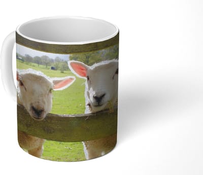 Mok - Koffiemok - Schapen - Dieren - Boerderij - Mokken - 350 ML - Beker - Koffiemokken - Theemok