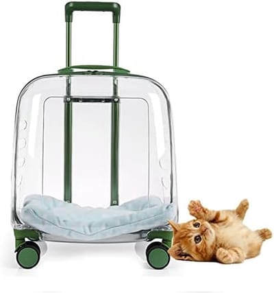 Draagbare Huisdier Rugzak - Reis Crate - Veilig Vervoer - Transparant Ventilatie - 41x41x31 cm - Transparant