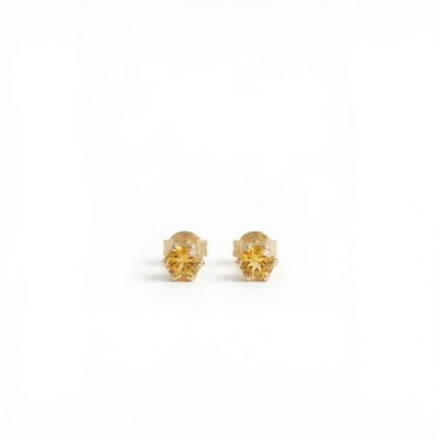 Oorknopjes Geboortesteen November Citrien Goud | cadeau dames