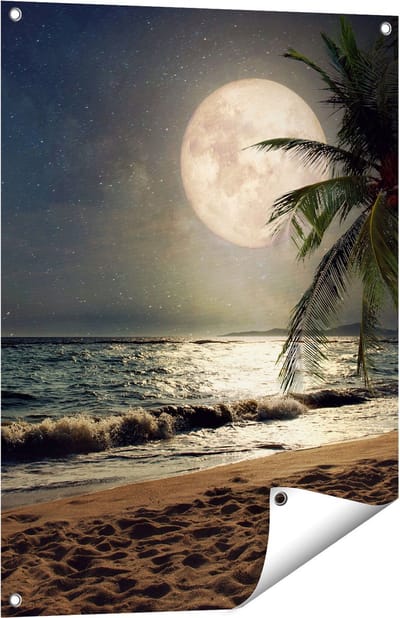 Gards Tuinposter Tropisch Strand in de Nacht met Volle Maan - 60x80 cm - Tuindoek - Tuindecoratie - Wanddecoratie buiten - Tuinschilderij