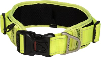 ROGZ Classic Padded Halsband / Hondenhalsband (HBP19-H) - Mesh Binnenvoering - Dayglow (Neon Geel) - Reflecterend - XXL - Nekomtrek 48 - 70 cm (GELIEVE ALVORENS BESTELLEN OPMETEN)