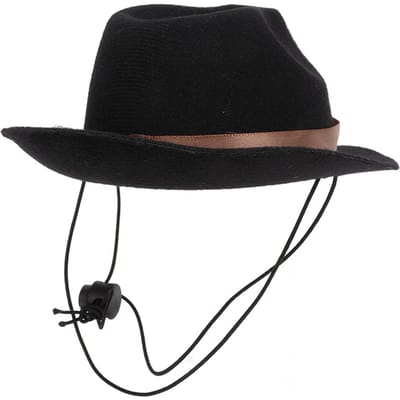 Chapeau de Cowboy pour Animaux de Compagnie Chapeau de Cowboy pour Chien Chat Mignon Drôle pour Fête Festival Port Quotidien Noir noir