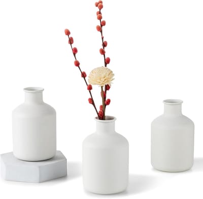 Famanu – Mini Witte Bloemenvaas - Kleine Bud Vaasjes voor Gedroogde Kunstbloemen 3 stuks Leuke Scandinavische Vaasjes voor Woonkamer Minimalistisch Klein Vaasje voor Bruiloft Kerstmis Verjaardag Tafelstuk Decoratie